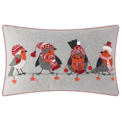 FESTIVE ROBINS WITH HATS 30 X 50